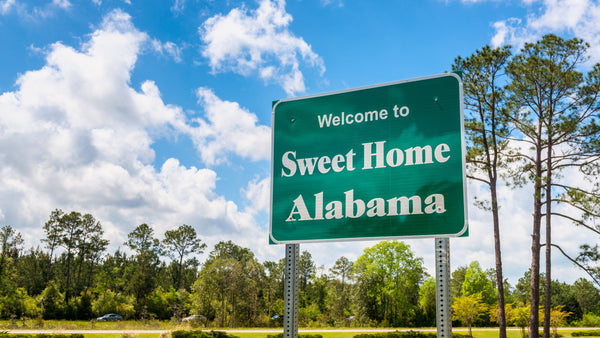 Alabama farmers look to grow carbon credit markets