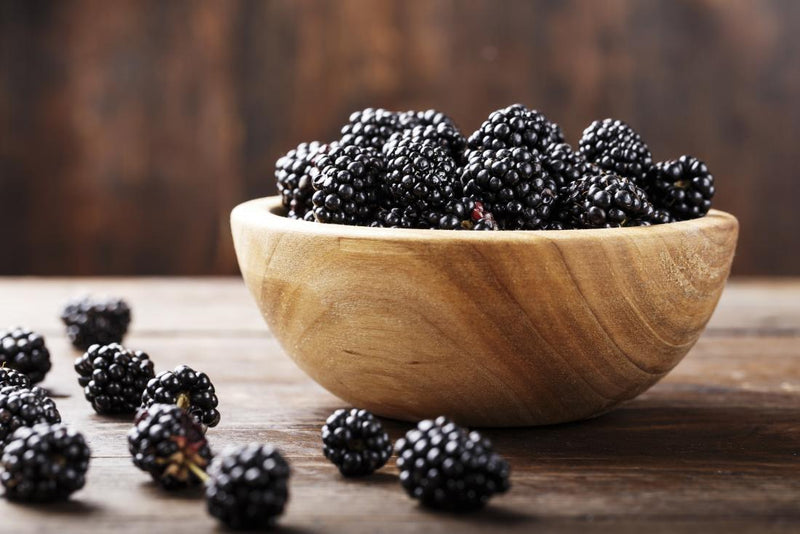 Arkansas Releases Tastiest Blackberry Yet