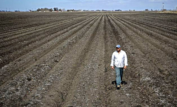 Fewer farms but more beginning farmers in agriculture