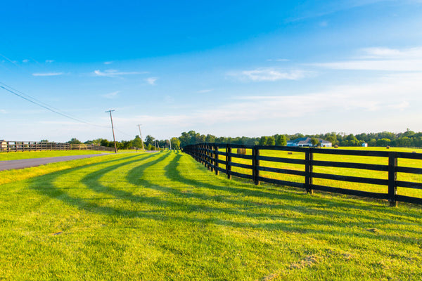 Use pasture change to improve forage