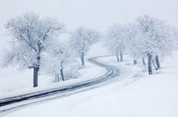 Winter weather can assist in pasture recovery