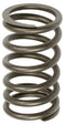 VALVE SPRING