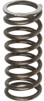 TISCO® Intake & Exhaust Valve Spring for Ford, D6NN6513A