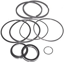 SEAL KIT FOR LANTEX CYLINDERS. 4" BORE X 1-1/2" ROD