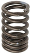 VALVE SPRING