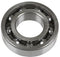 BEARING #6207, 207 (OPEN)