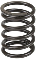 VALVE SPRING