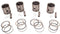 PISTON & RING KIT