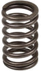 VALVE SPRING