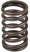 TISCO®  Valve Spring for Case & Case IH, J900276