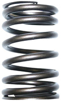 TISCO® Valve Spring for International, 160908R1