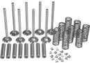 VALVE OVERHAUL KIT