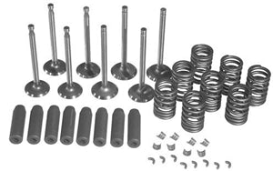 VALVE OVERHAUL KIT